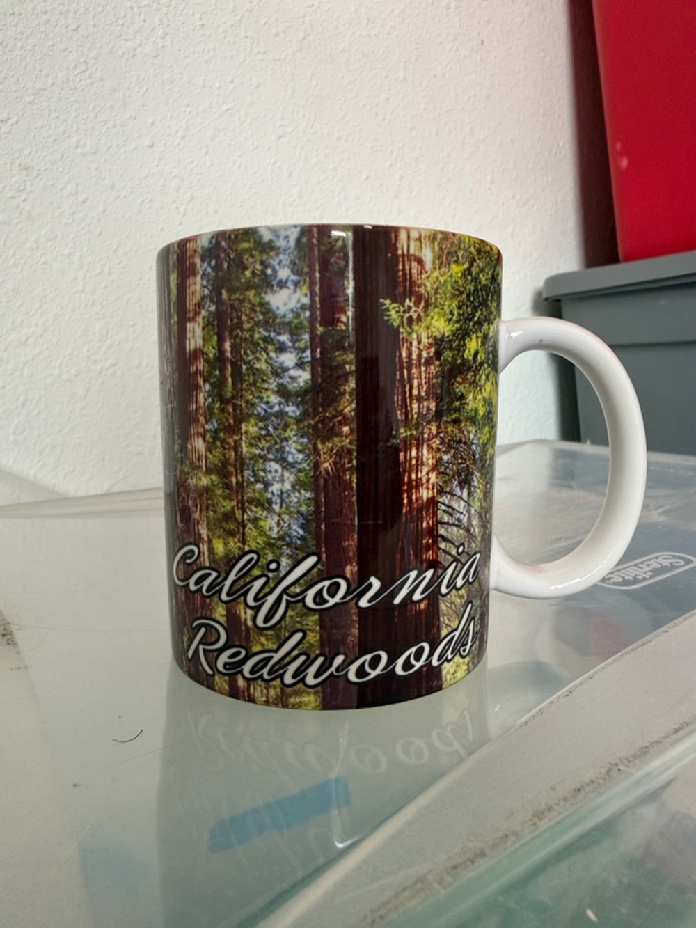 California Redwoods Photo Ceramic Mug - White Handle